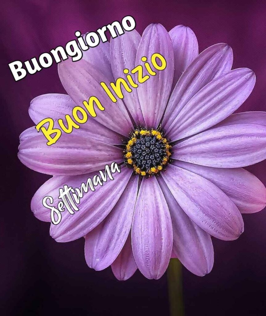 buongiorno e buon inizio settimana immagini