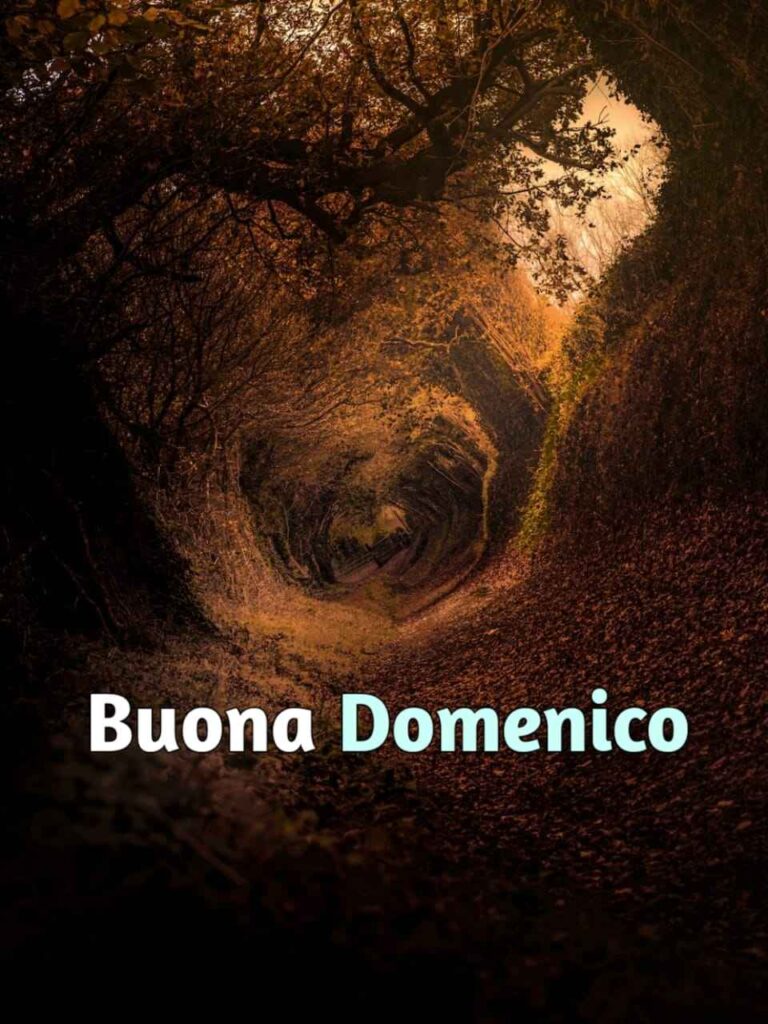 buongiorno e buona domenica autunnale immagini