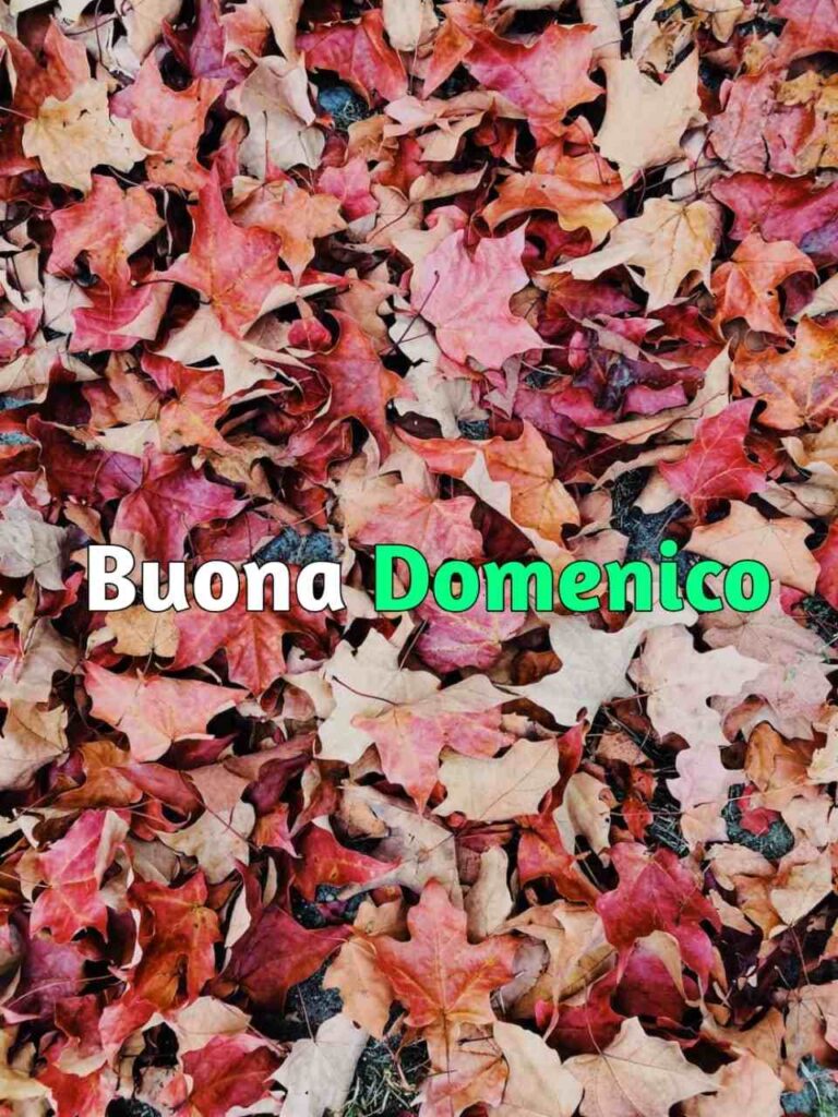 buongiorno e buona domenica autunnale