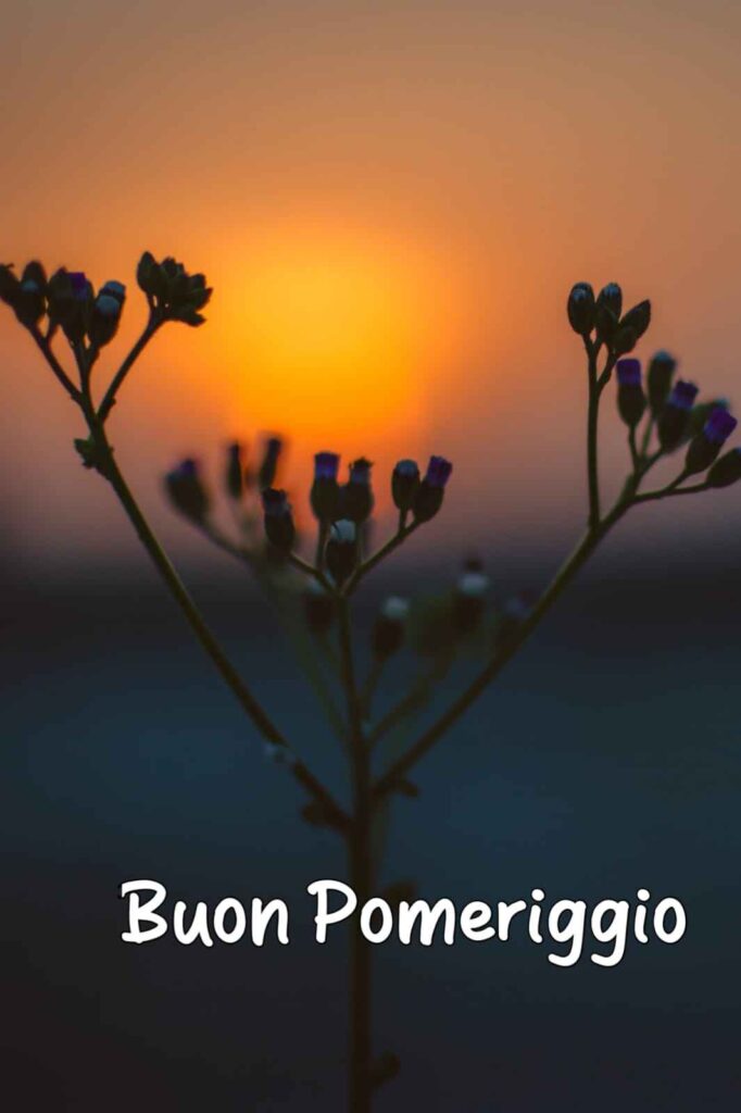 buonpomeriggio o buon pomeriggio immagini