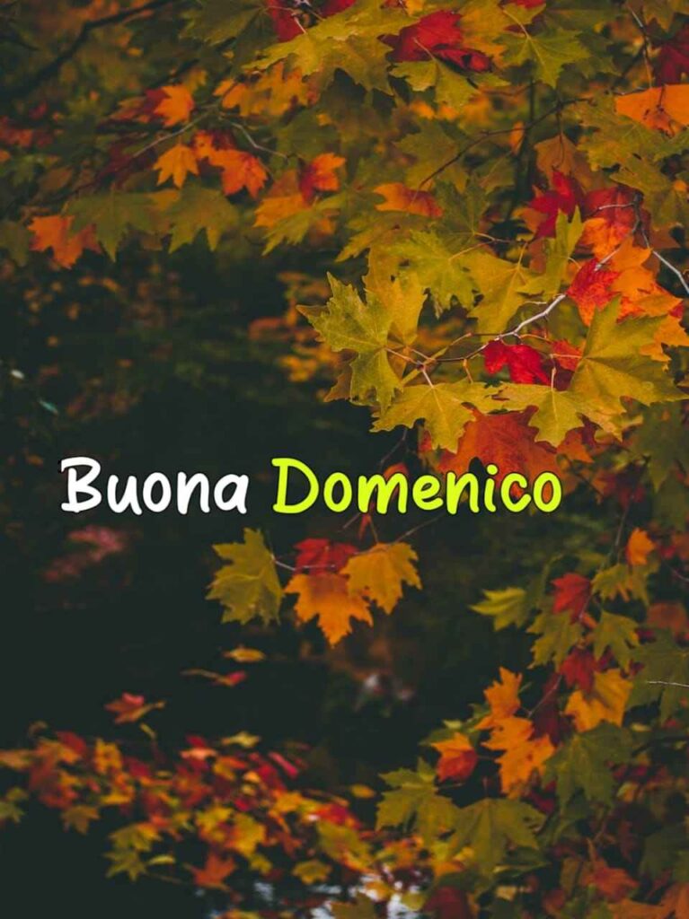 foto buona domenica autunnale