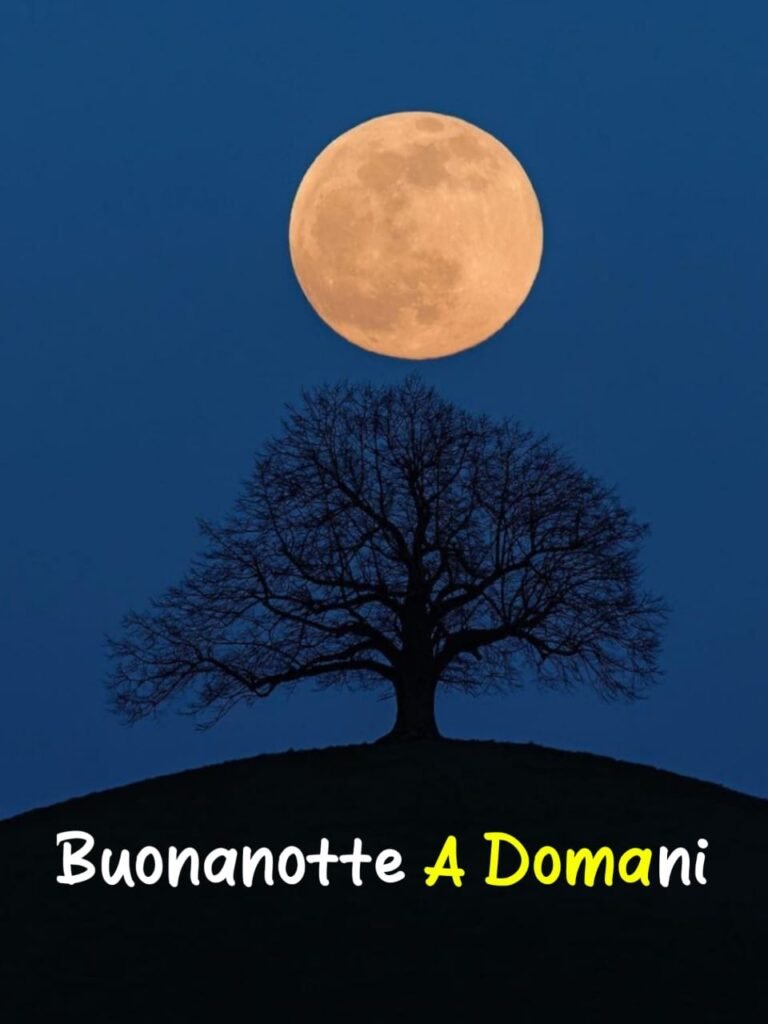 giornata finita buonanotte a domani