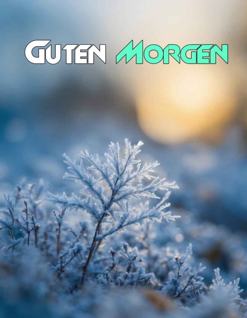 guten morgen winter mittwoch