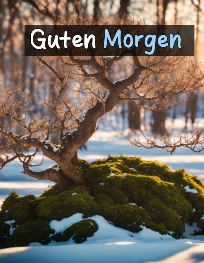 guten morgen winter - samstag