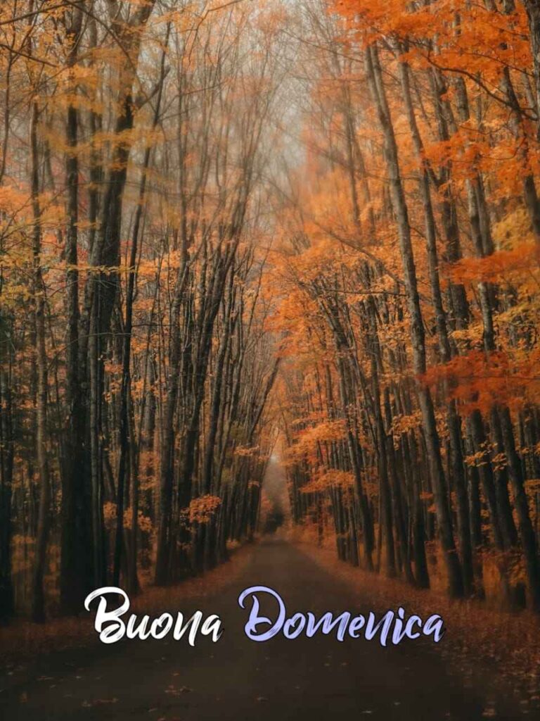 immagine buona domenica autunnale