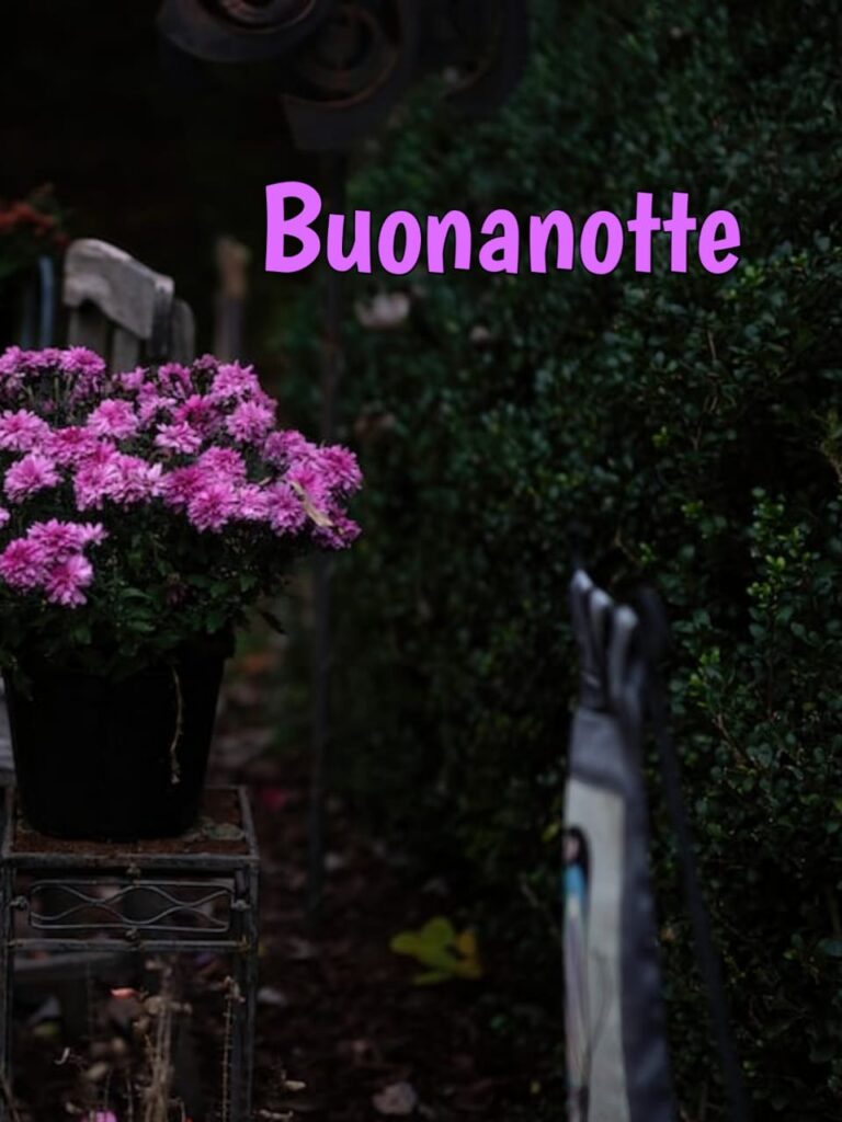 immagini buonanotte autunnale