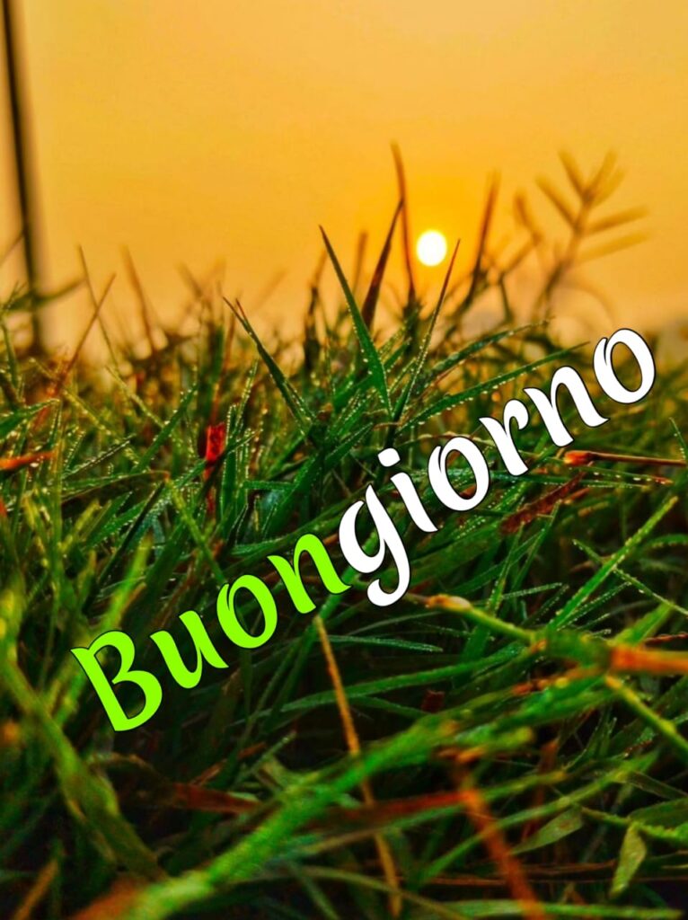 immagini buongiorno divertenti