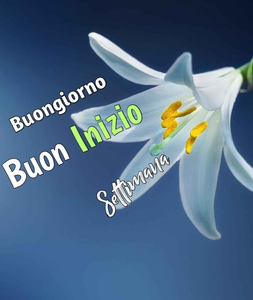 immagini buongiorno e buon inizio settimana nuove 2022