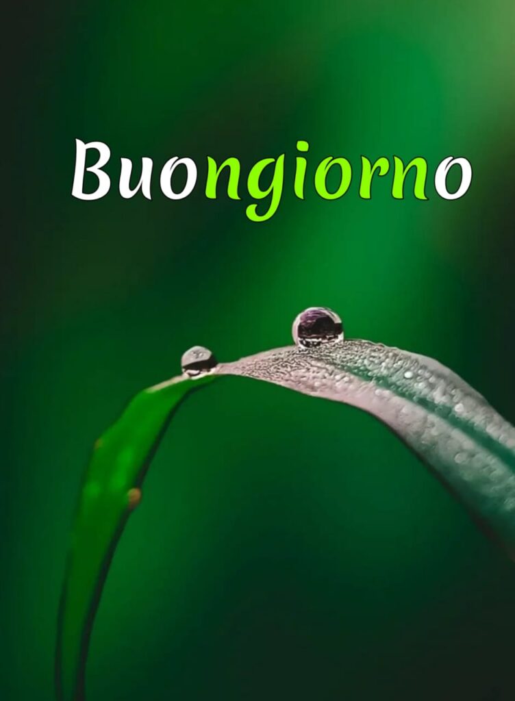 immagini buongiorno gratis per whatsapp