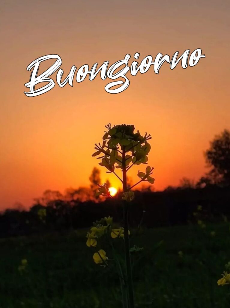 immagini buongiorno mercoledi