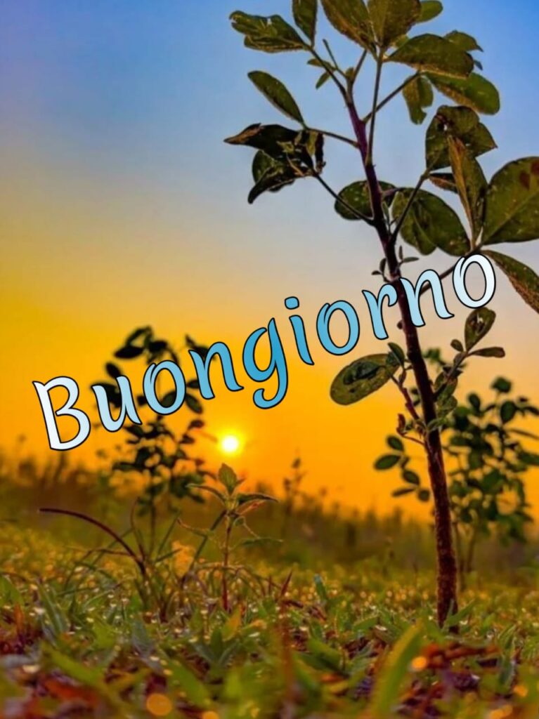 immagini buongiorno nuove 2023