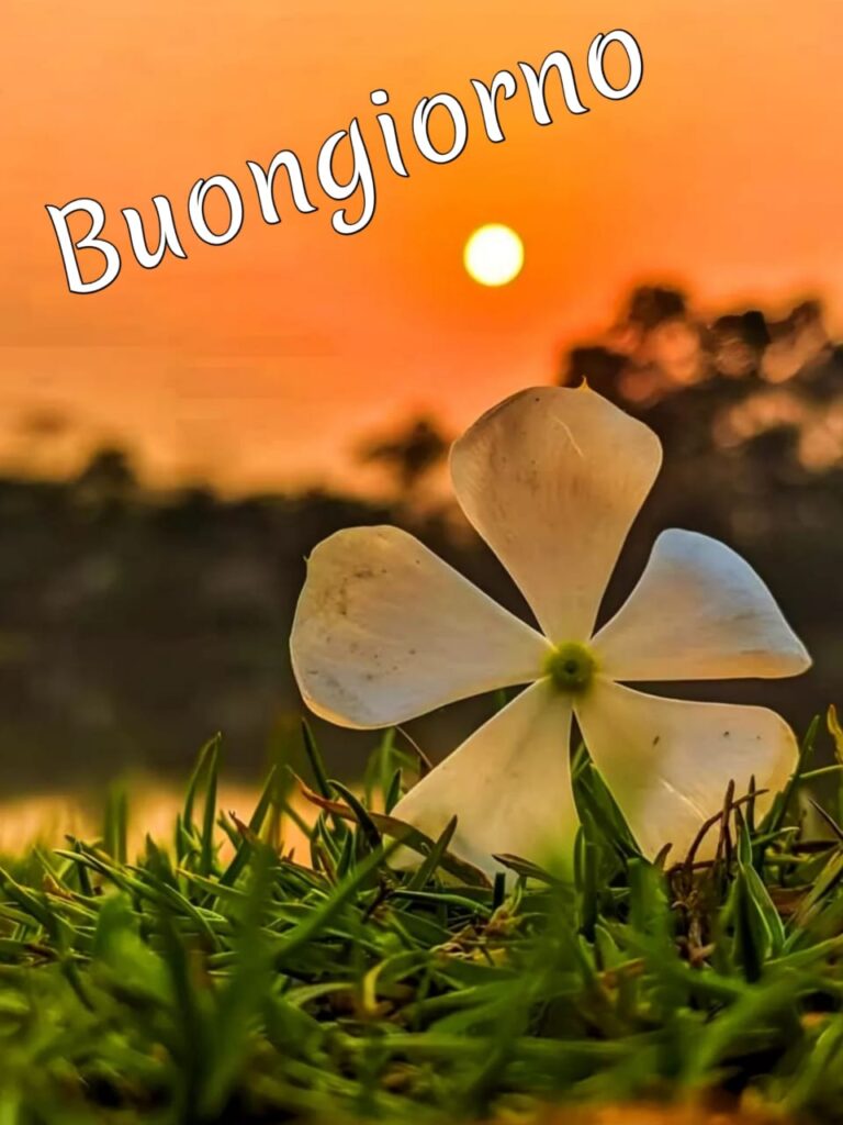 immagini buongiorno piovoso