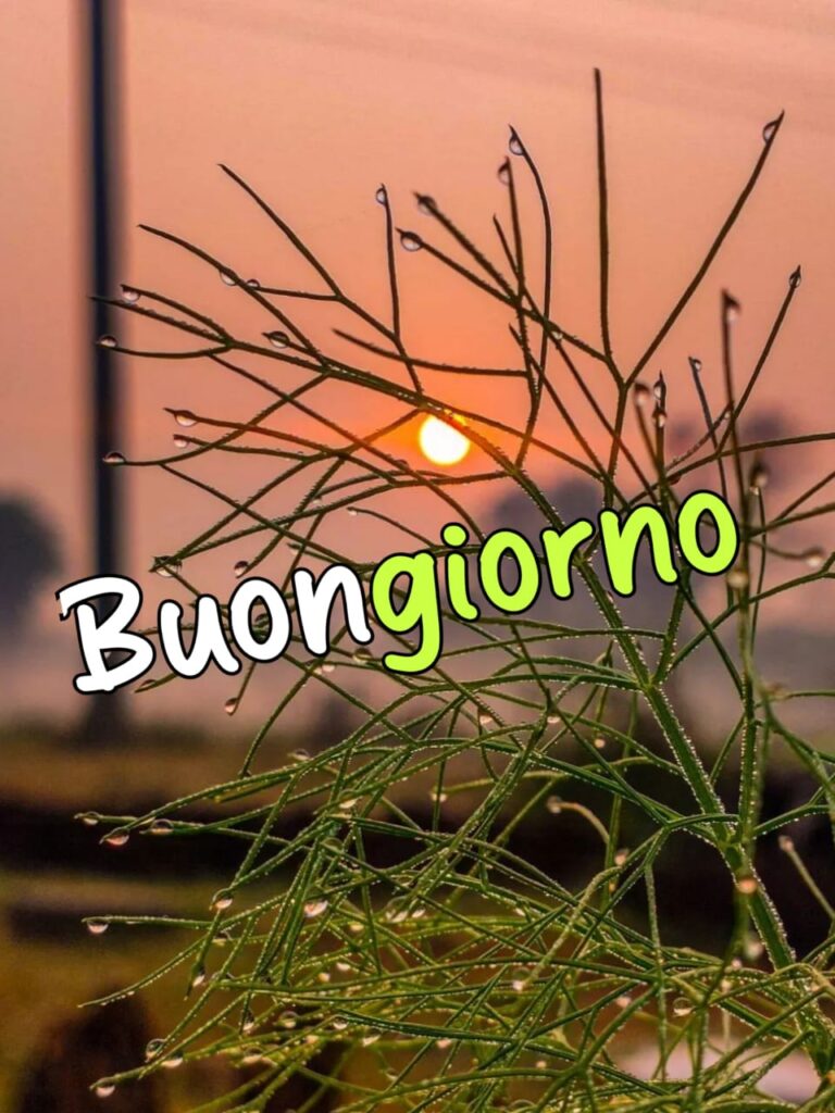 immagini buongiorno primaverili