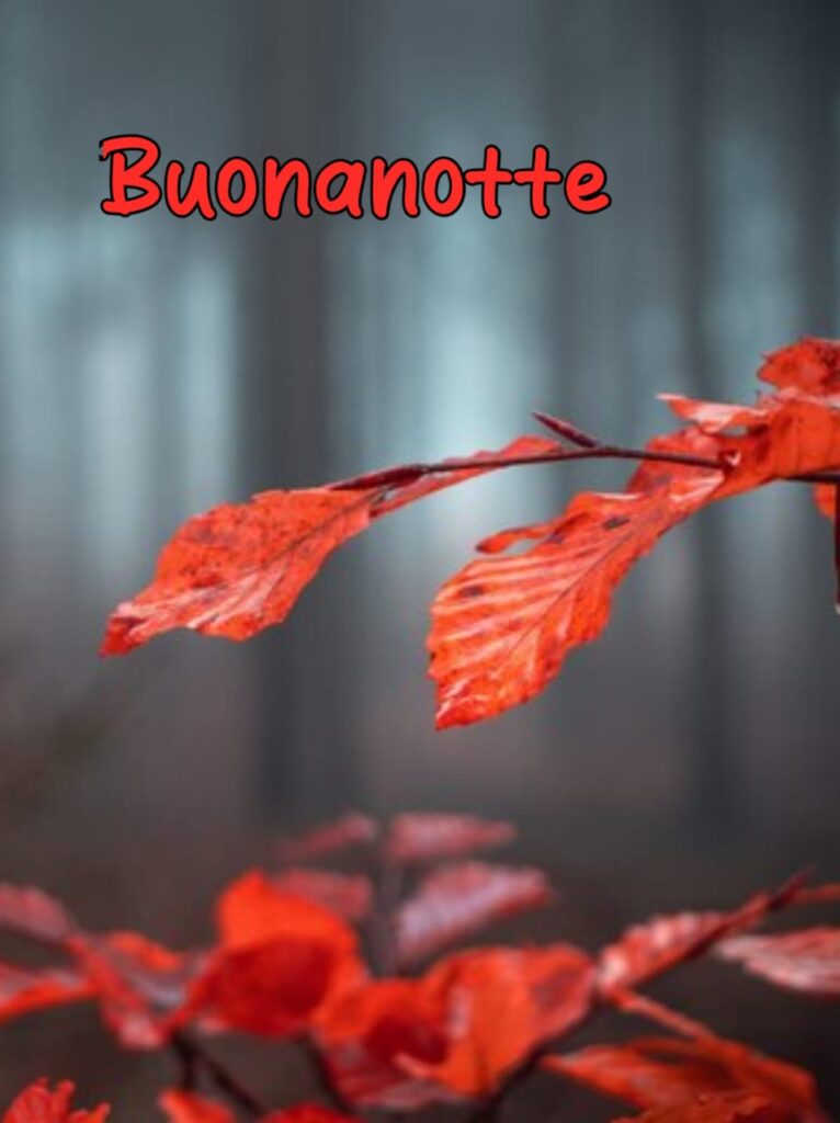 immagini della buonanotte autunnale