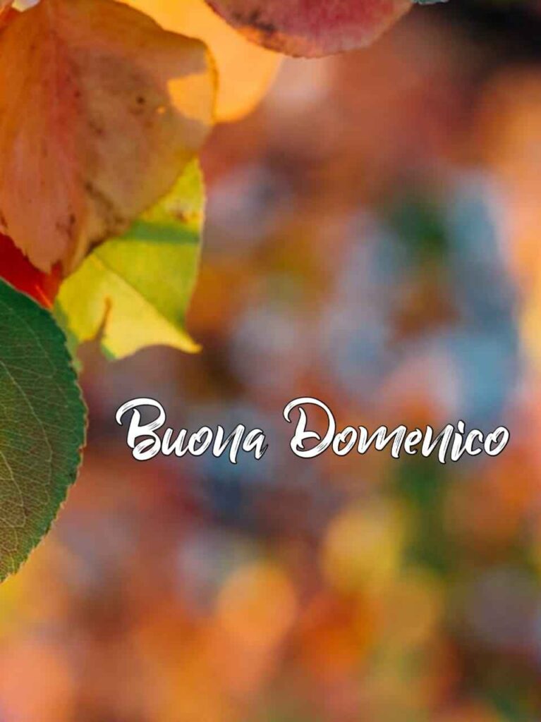 immagini di buona domenica autunnale