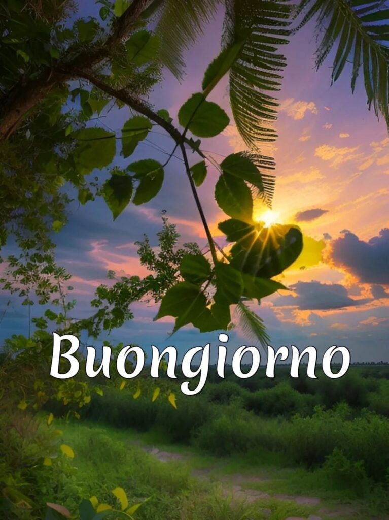 le fate del sole buongiorno immagini nuove gratis per whatsapp