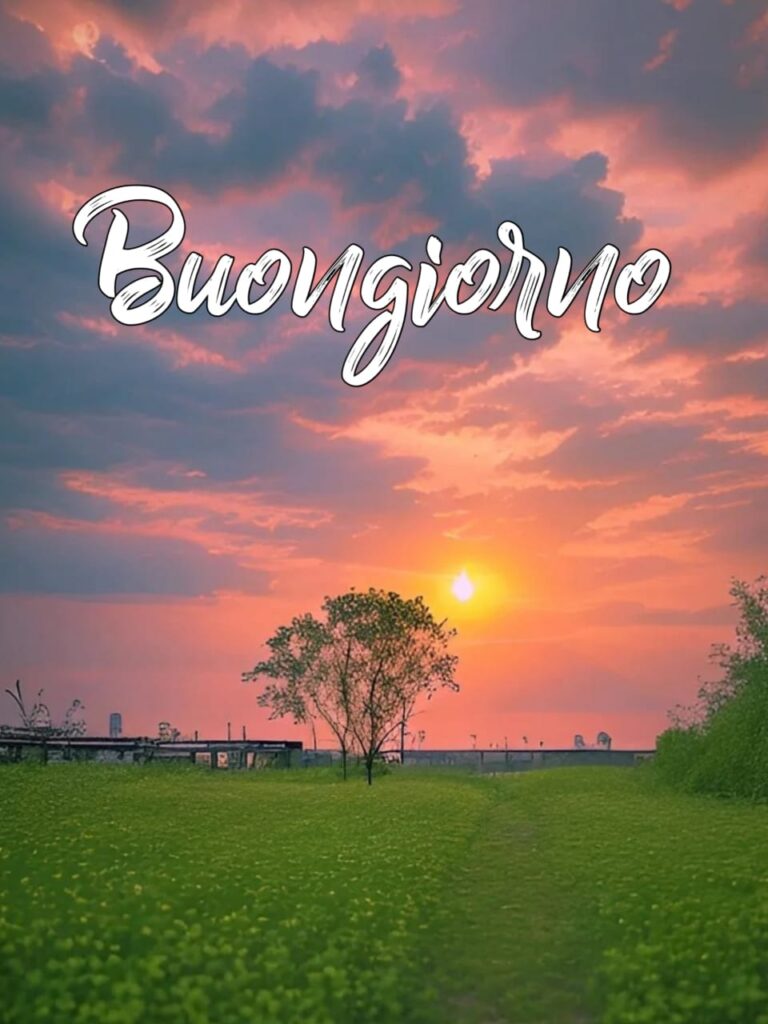 le fate del sole buongiorno immagini nuove gratis per whatsapp buon sabato