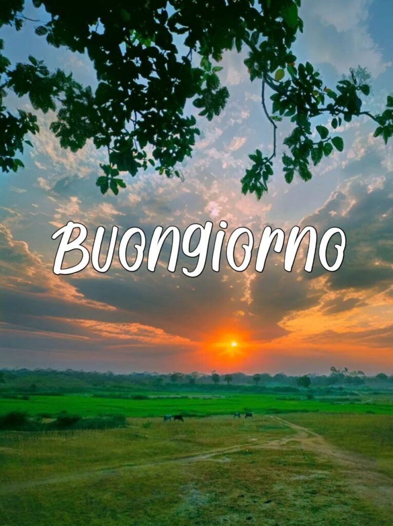 le fate del sole buongiorno immagini nuove gratis per whatsapp buona domenica