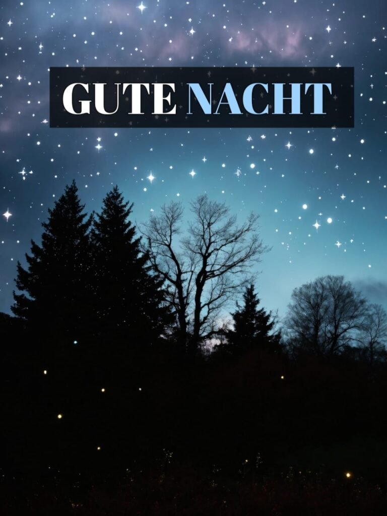 liebes gute nacht bilder