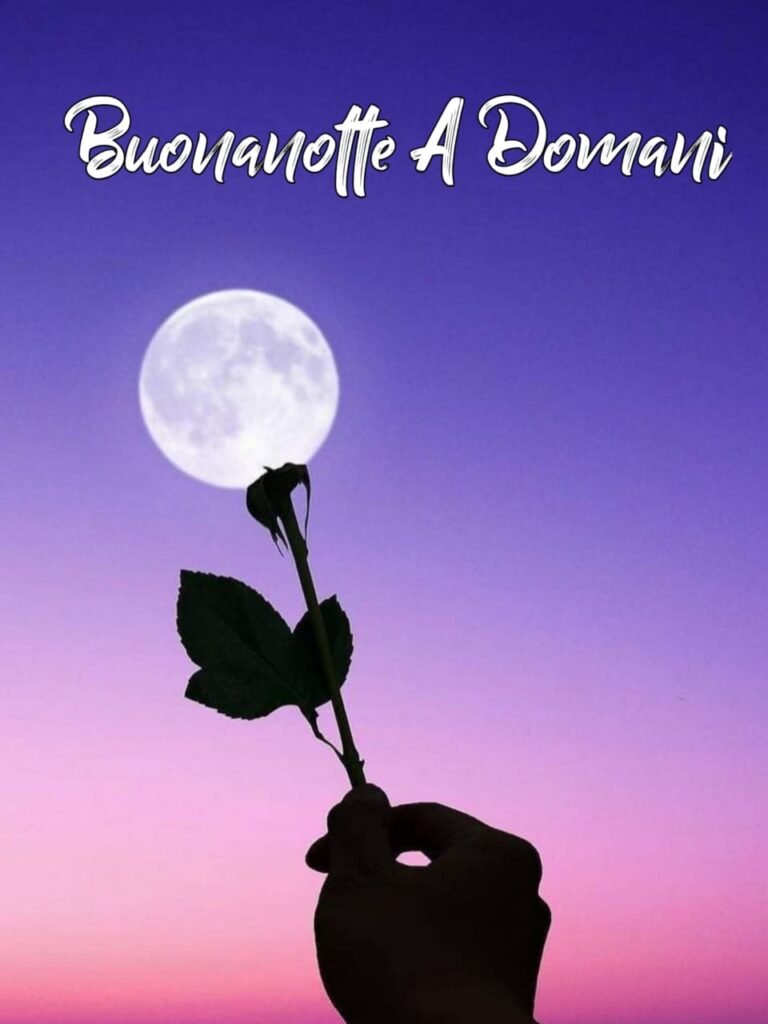 link buonanotte a domani