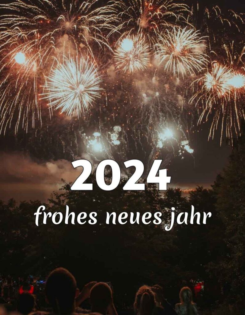 weihnachts- und neujahrswünsche 2024 (1)