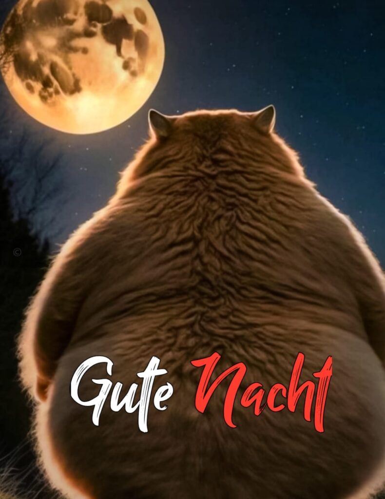 gif whatsapp kostenlose gute nacht bilder kostenlos