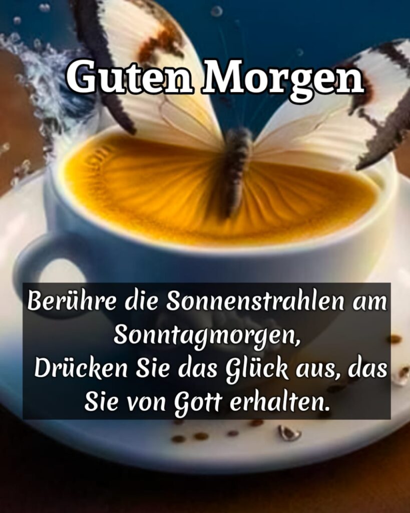 guten morgen sonntag bilder kostenlos