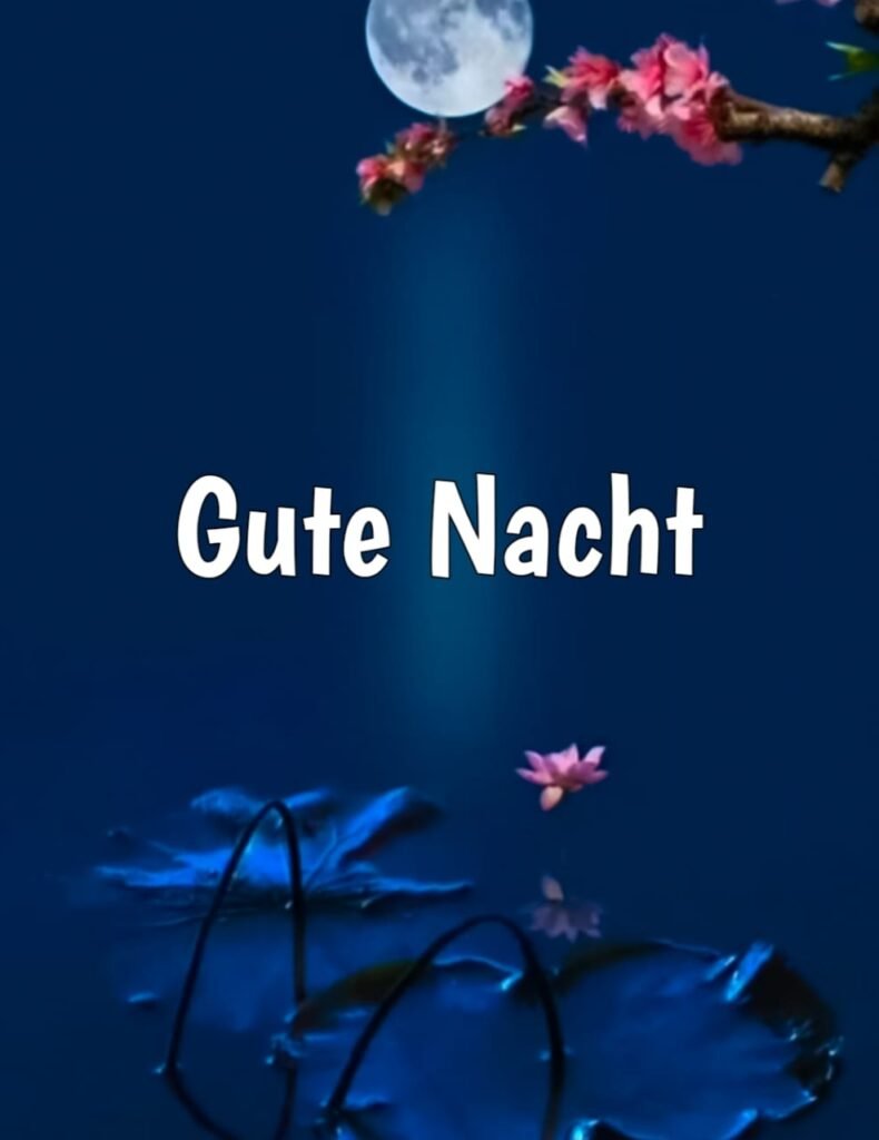 schönen abend und eine gute nacht bilder