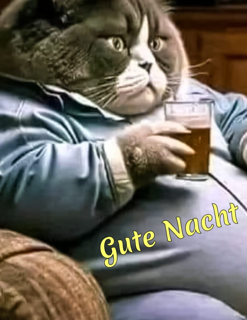 500+ whatsapp kostenlose gute nacht bilder für herunterladen