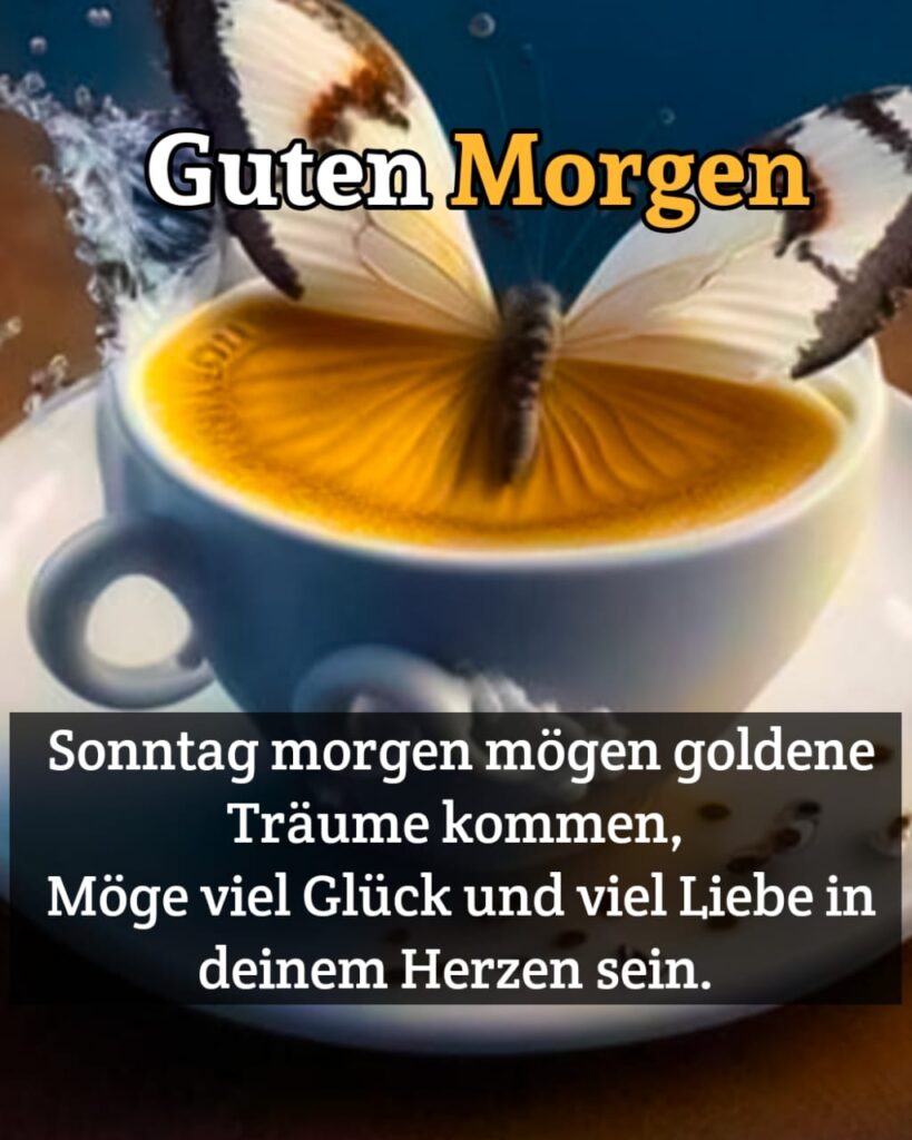 whatsapp bilder guten morgen sonntag kostenlos