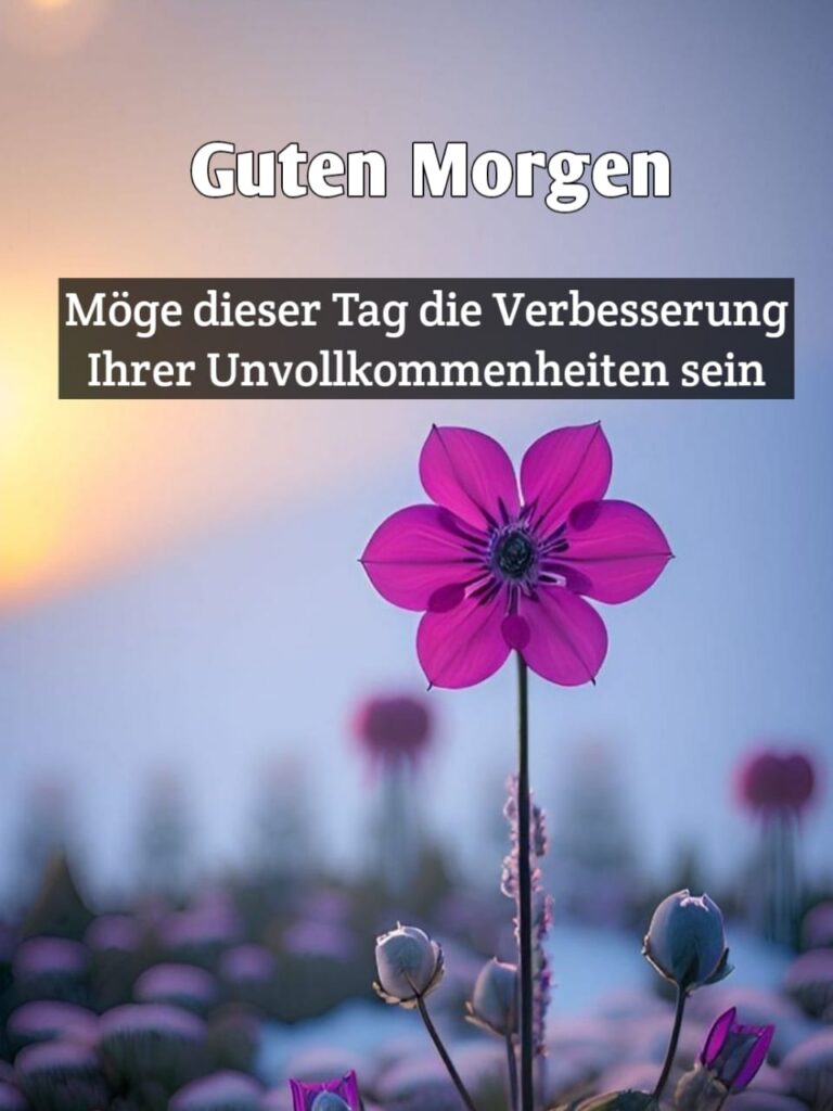 whatsapp bilder kostenlos guten morgen donnerstag grüße