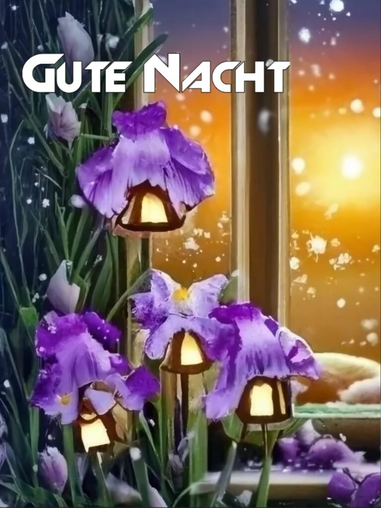 whatsapp schönen abend und später eine gute nacht