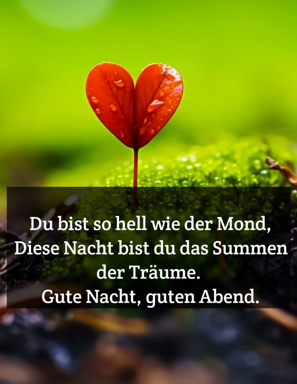 1000+ abendgrüße schönen abend und gute nacht bilder kostenlos