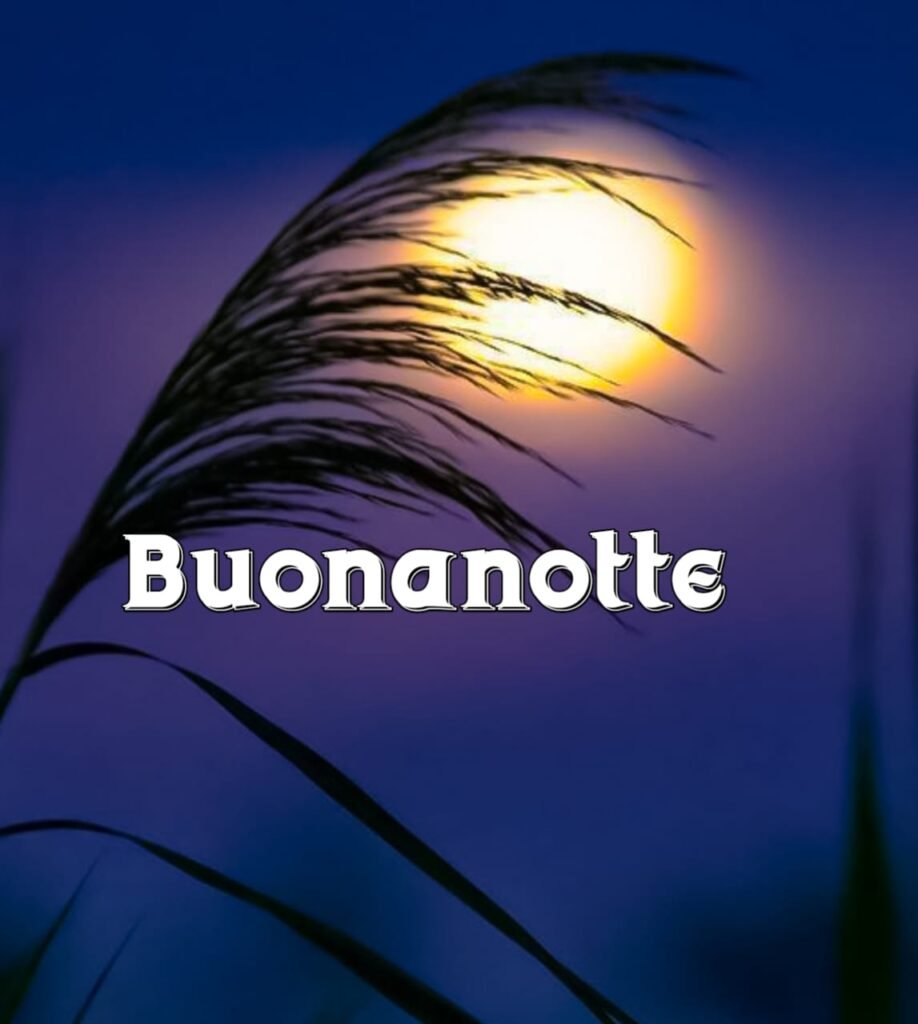 dolce immagini buonanotte nuove