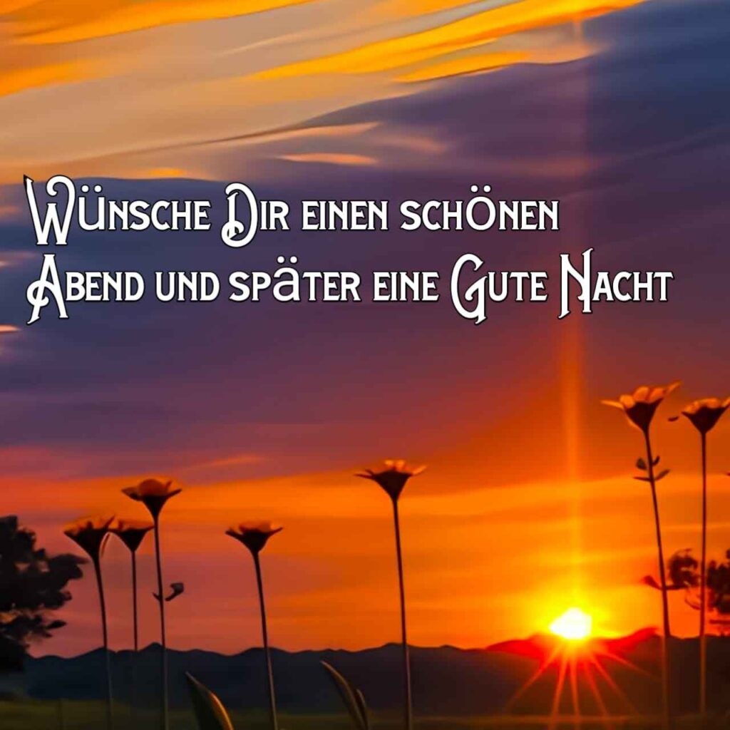 ein schönen abend (1)