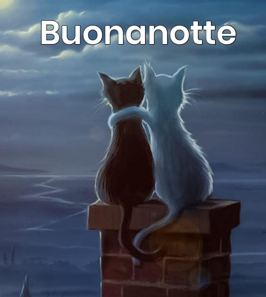 immagini buonanotte con frasi significative