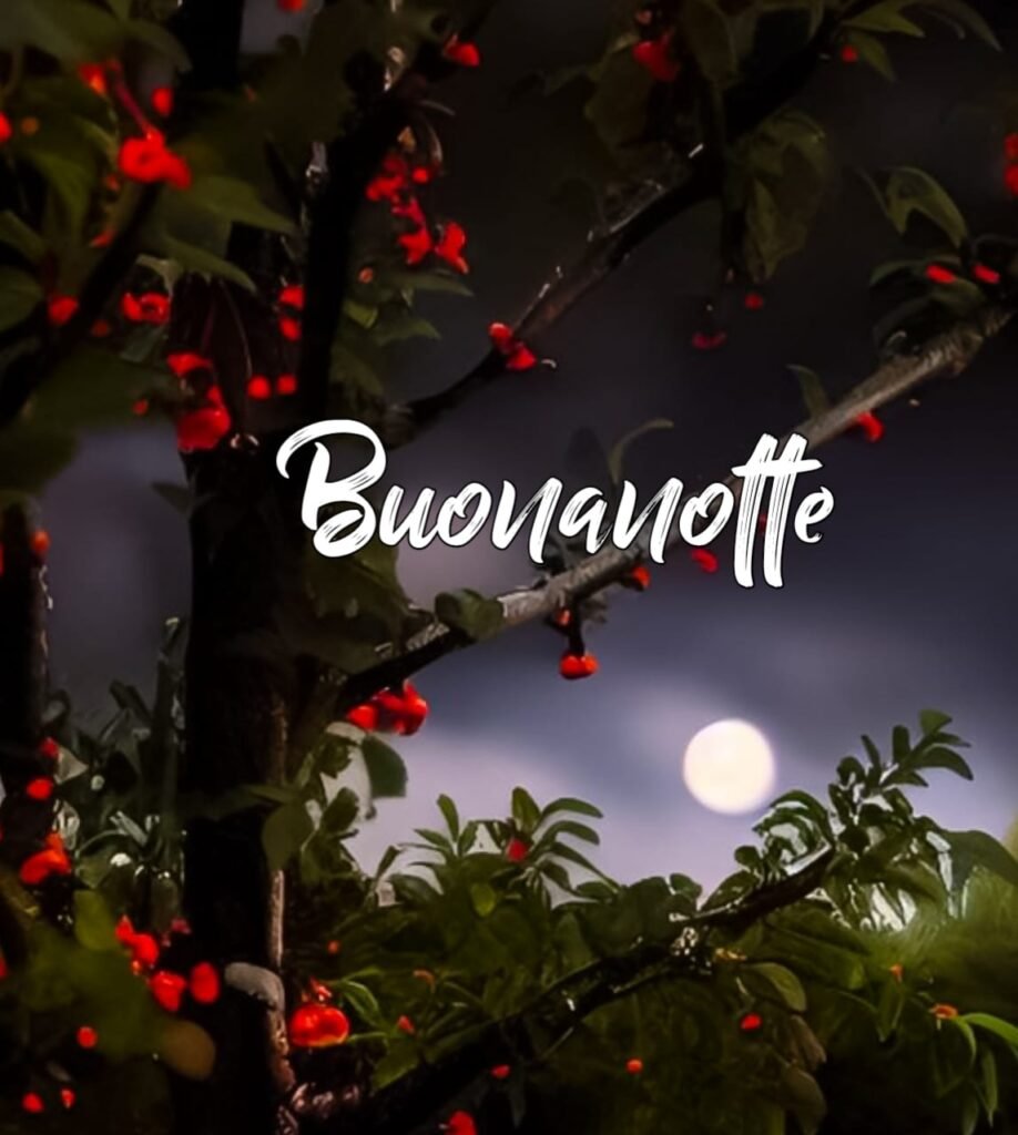 immagini buonanotte domenica finita