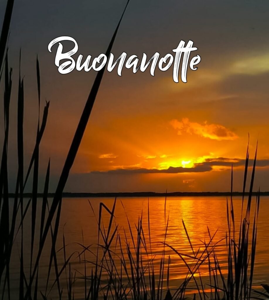 immagini buonanotte simpatiche e gentili gratis