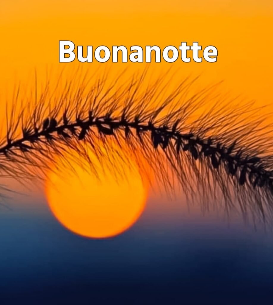 immagini buonanotte simpatiche gif