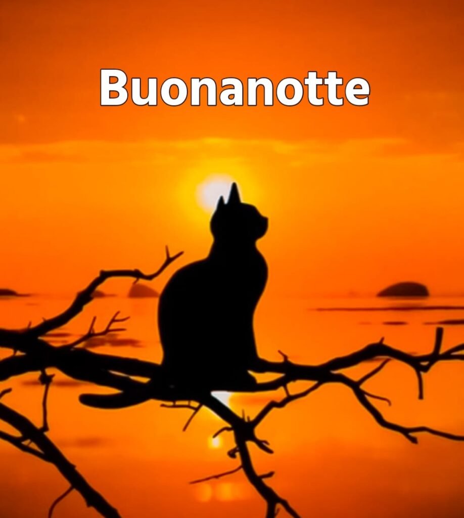 immagini buonanotte simpatiche nuove