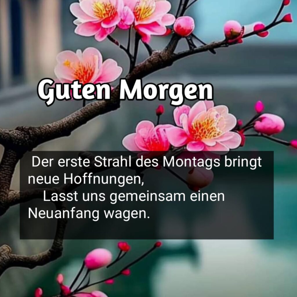 bilder montag wochenstart