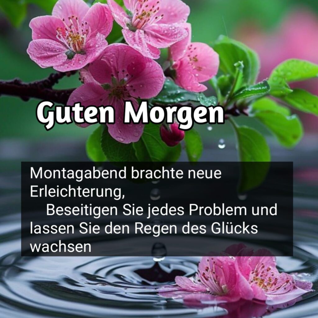 bilder zum montag wochenstart