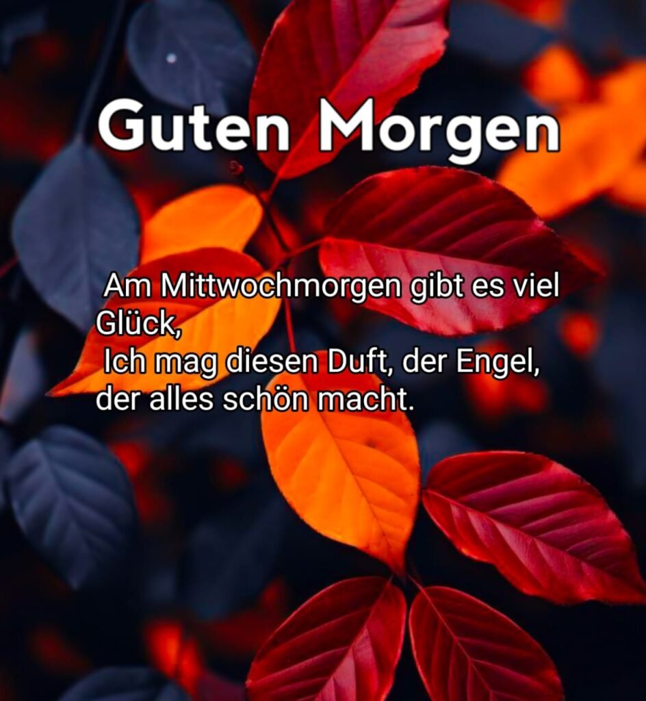 einen schönen guten morgen mittwoch