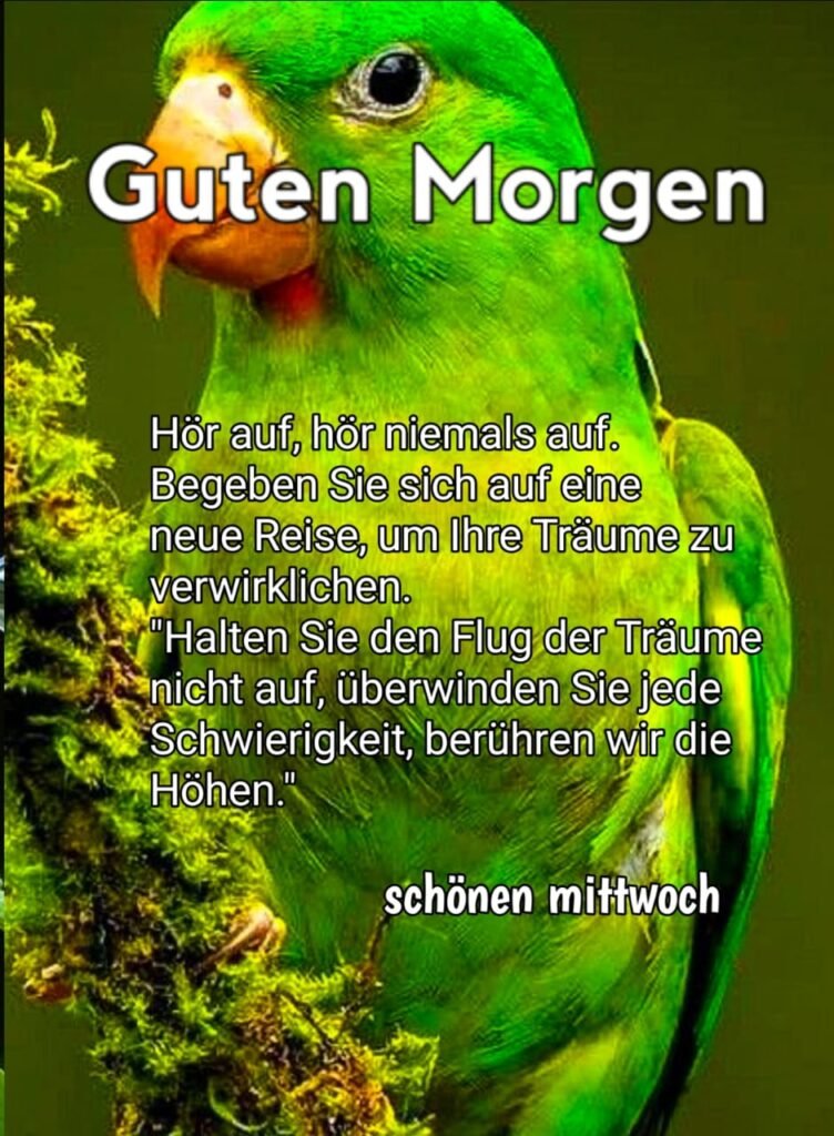 free motivationssprüche wochenteiler ausgefallen guten morgen mittwoch hd