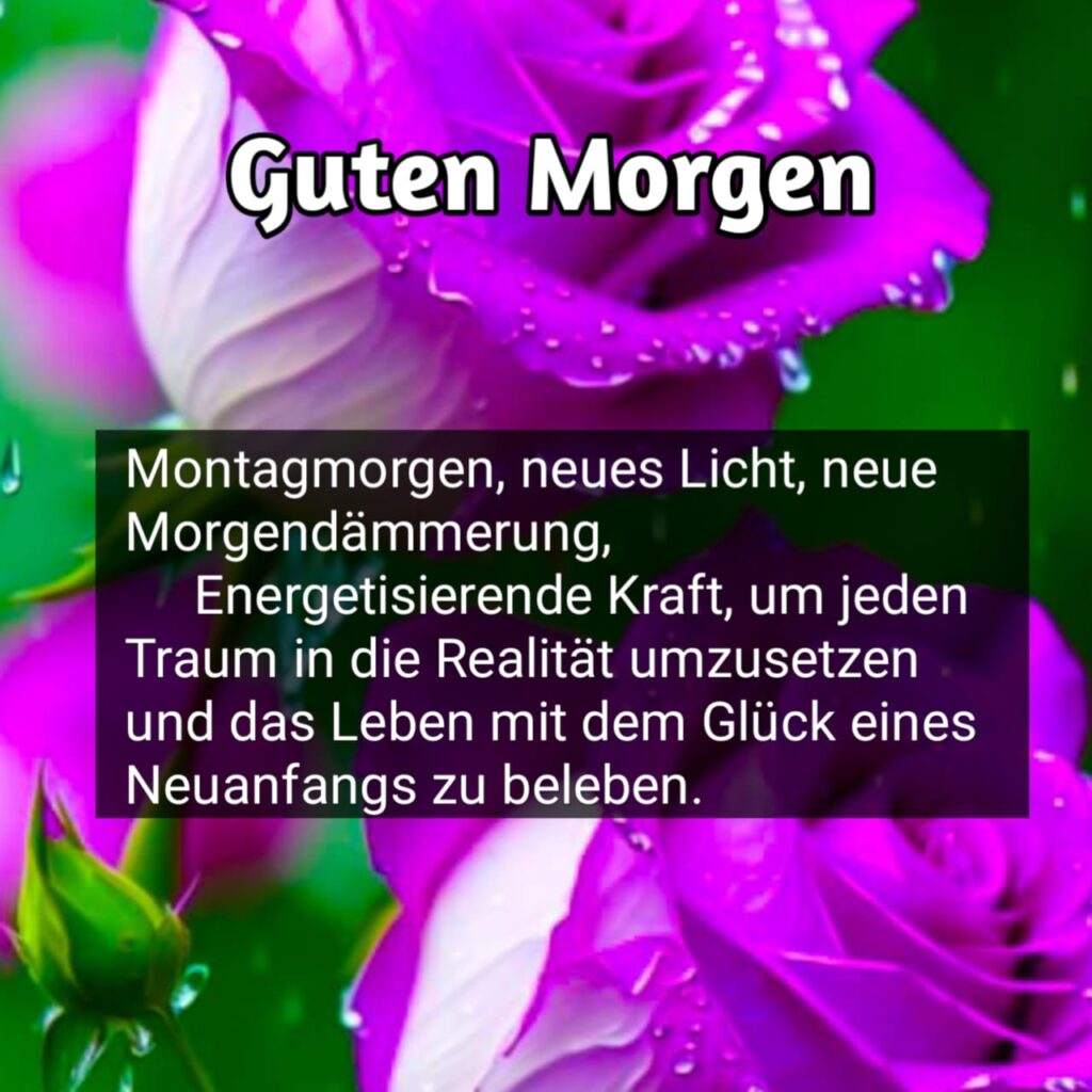 grüße zum montag wochenstart