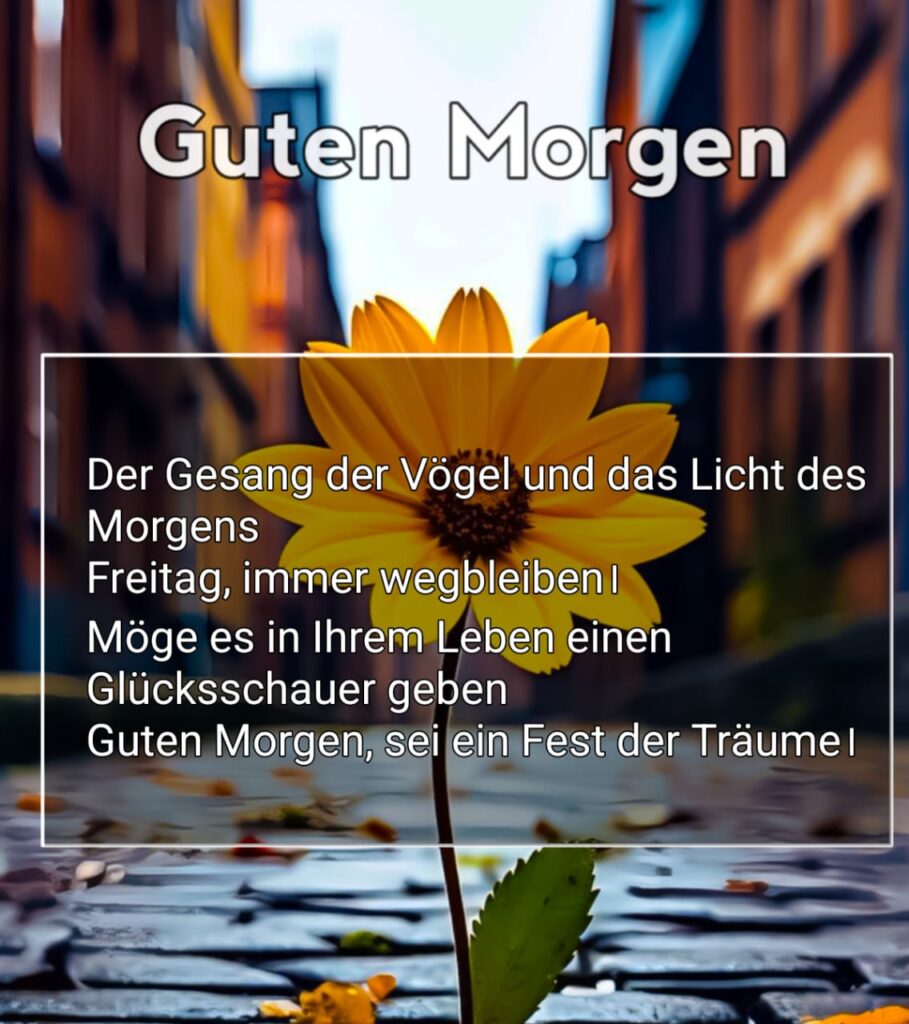 guten morgen freitag bilder gratis