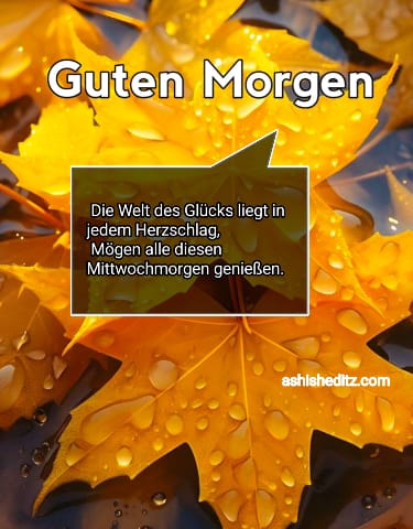 guten morgen mittwoch bilder kostenlos