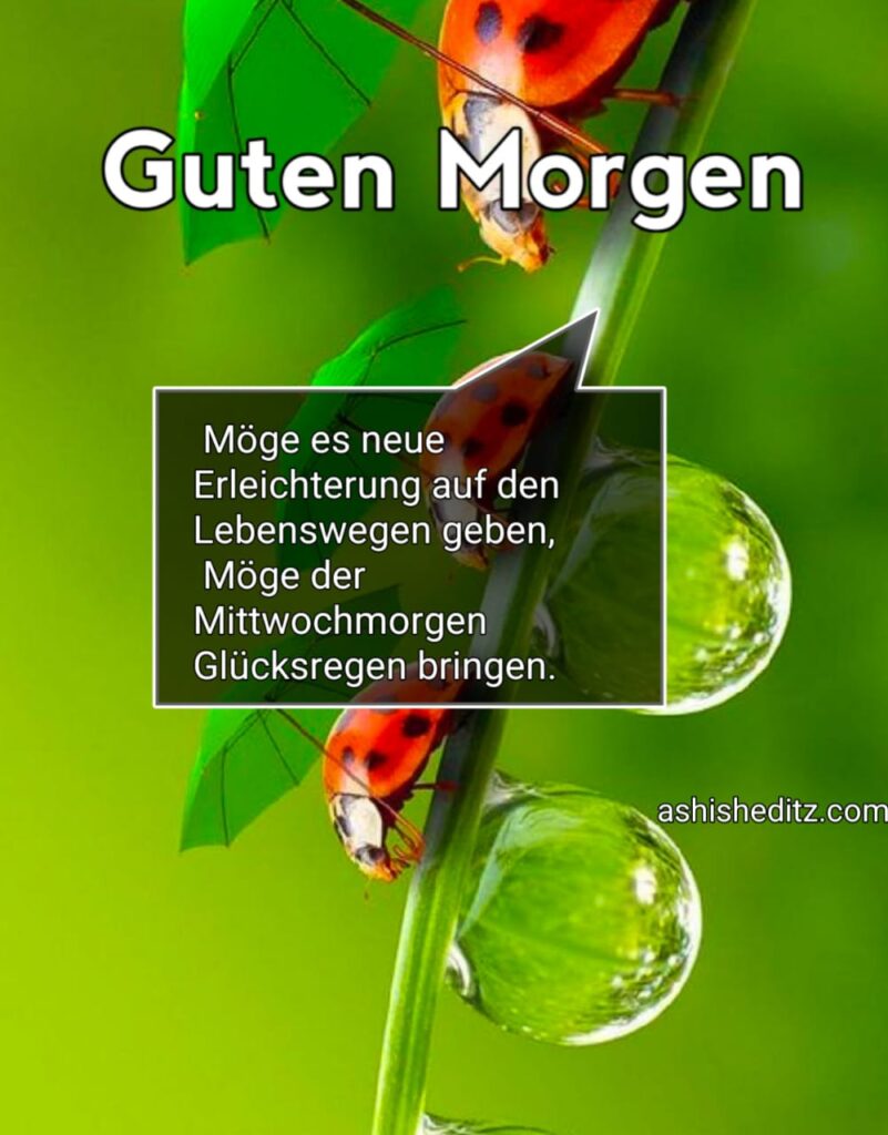 guten morgen mittwoch herbstlich