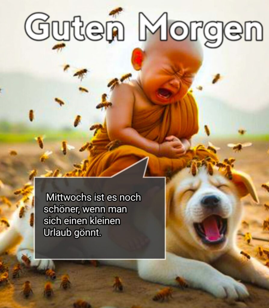 guten morgen mittwoch lustig bilder