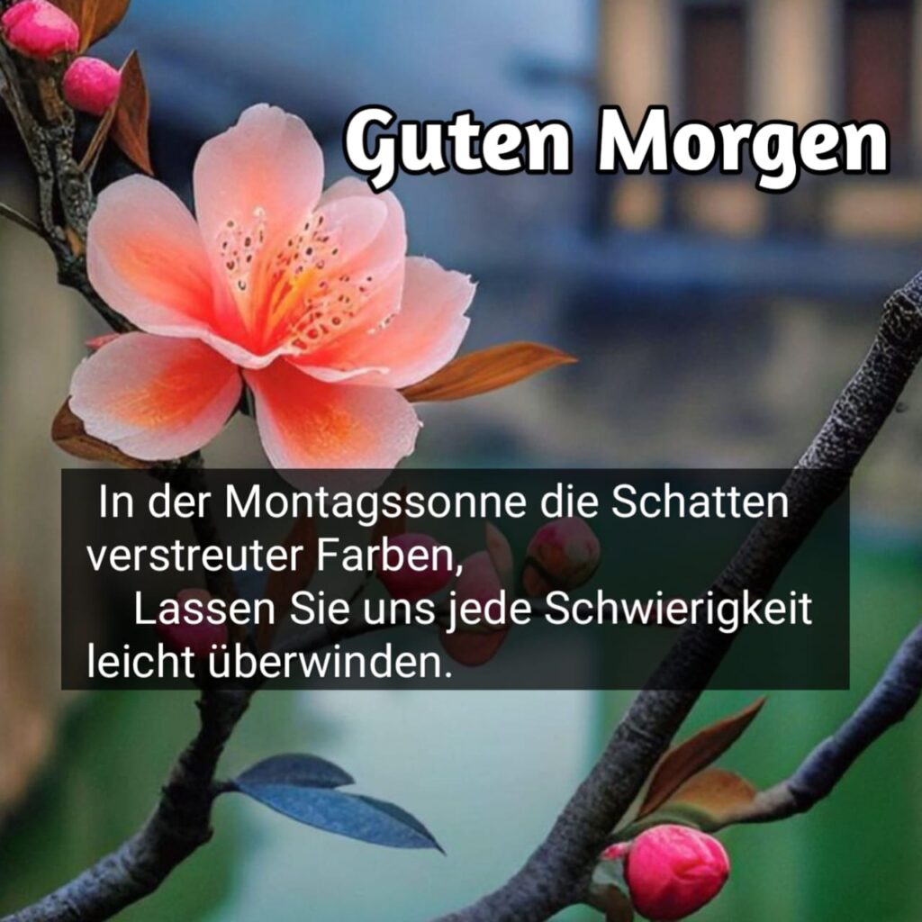 guten morgen montag wochenstart gif